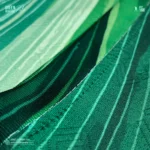 Green Heritage Polo - In2 Travel - Image 3